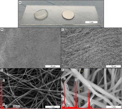 Proliferation and Osteogenic Differentiation of hMSCs on Biomineralized Collagen